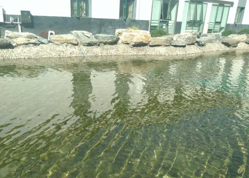 八一學(xué)校人工湖水處理-佳業(yè)佳境工程案例
