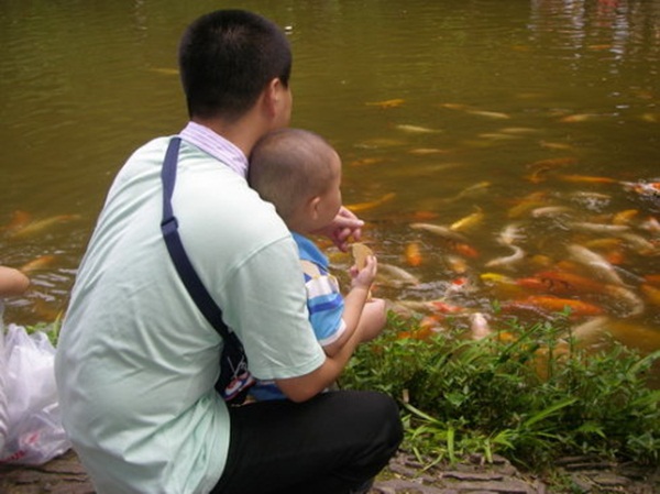 湖南愛晚亭景觀湖水質(zhì)提升工程-佳業(yè)佳境工程案例