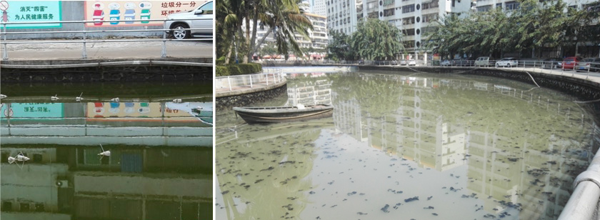 ?？诤诔羲w中試治理大比武-佳業(yè)佳境工程案例