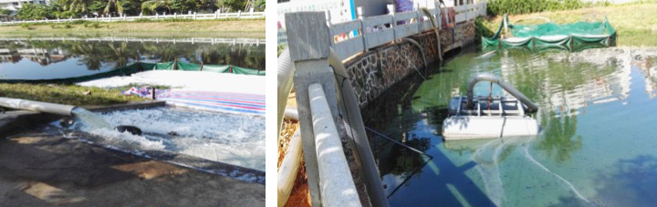 海口黑臭水體中試治理大比武-佳業(yè)佳境工程案例