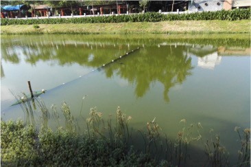 ?？诤诔羲w中試治理大比武-佳業(yè)佳境工程案例