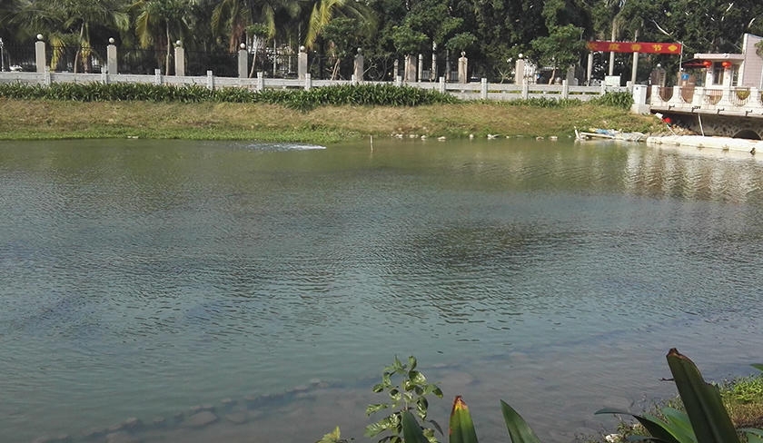 ?？诤诔羲w中試治理大比武-佳業(yè)佳境工程案例