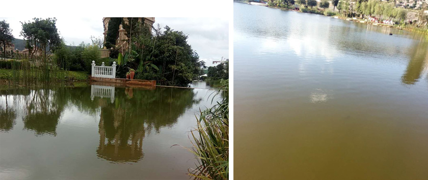 世外桃源小區(qū)景觀湖水質(zhì)提升工程-佳業(yè)佳境工程案例