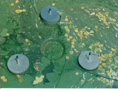 河道藍藻水華、浮萍治理