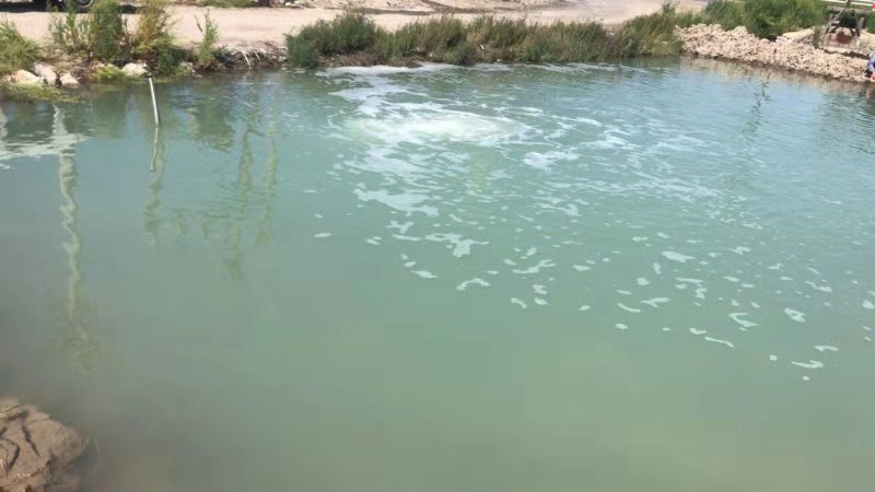 養(yǎng)殖廢水0010