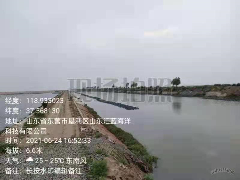 養(yǎng)殖廢水5