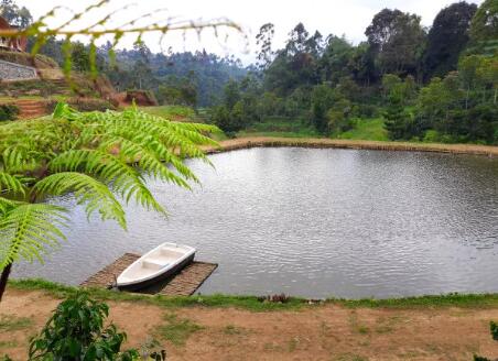 深度解讀農(nóng)村生活污水治理現(xiàn)狀及綜合治理6
