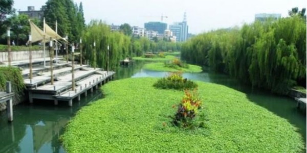 城市污染之“黑臭河道治理”現(xiàn)狀